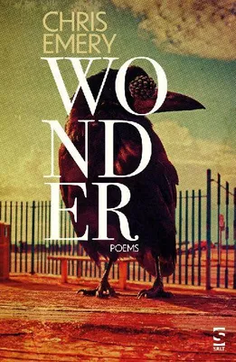 Produktbild von Wonder
