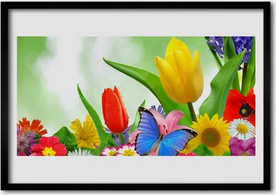 Produktbild von Bild 70x50 MDF-Rahmen Wandkunst Schmetterlings-Blumen-Natur