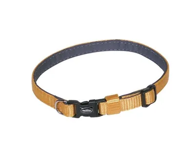 Image de Collier Nobby Classic Preno Mini L : 20-35 cm ; l : 10 mm, orange