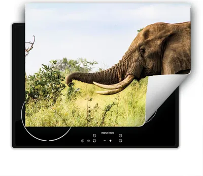 Produktbild von DarHaus Herdabdeckplatte 80x52 cm Anti Rutsch Matte Aufrollbar, Elefant