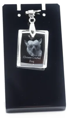 Produktbild von Chinesischer Schopfhund - Kristallanhänger für Hunde, Foto-Halskette, einzigartiger Schmuck von Art-Dog
