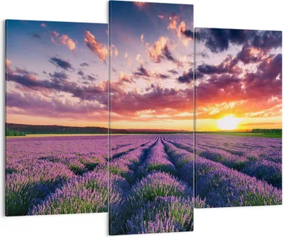 Produktbild von Bild auf Leinwand - Leinwandbild - Lavendel Berge Feld - 130x100cm - Wand Bild - Wanddeko - Leinwanddruck - Bilder - Kunstdruck - Wanddekoration - Leinwand bilder - Wandkunst - CB130x100-3816
