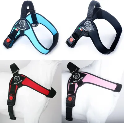 Produktbild von Tre Ponti Geschirr Brio Onyx schwarzer Rand für große Hunde, Farbe:schwarz, Größe:M