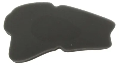 Productafbeelding van Luchtfilter SYM Mio 50/100 '05-15, (50)
