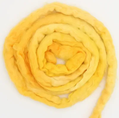 A top-down view of a coiled bundle of yellow and orange wool roving on a white background.