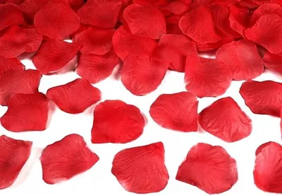A pile of red rose petals scattered on a white surface.