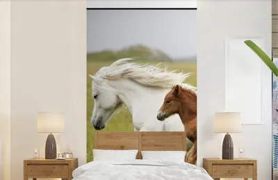 Produktbild von Tiermuster-Wandtapete Pferde - Tiere - Gras - Breite 120 cm x Höhe 240 cm