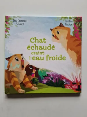 Image de Chat échaudé craint l'eau froide