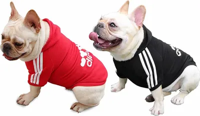 Produktbild von Hundemantel Hund Hoodies Kleidung, Pet Puppy Katze Niedlicher Baumwoll Warm Hoodies Coat Pullover, Rot+Schwarz, M