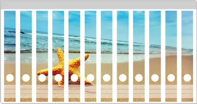 Produktbild von Wallario Ordnerrücken Sticker, selbstklebend für schmale Ordner, 12 Stück, Motiv Seestern am Strand am Meer