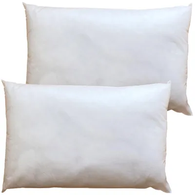 Produktbild von Flauschige Polyester Kissenfüllungen Füllkissen 2er in 40 x 60 cm