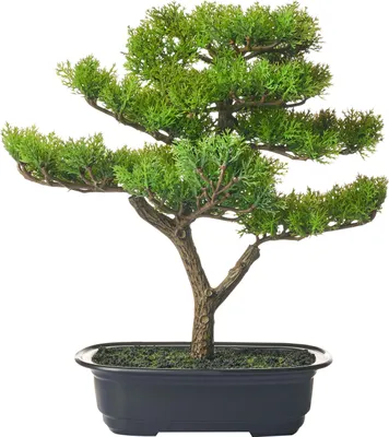 Obrázek produktu pro BELIANI Umělá rostlina v květináči bonsai zelená a černá syntetický materiál 35 cm dekorace doplňky interiér