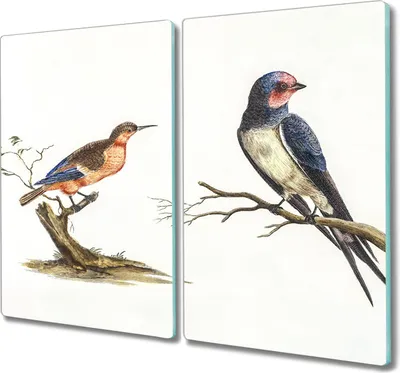 Produktbild von Coloray Kochplattenabdeckung Herdabdeckplatte 2x30x52 cm Hackbrett Schneidebrett Küchenbrett - Tiere Vögel