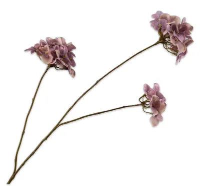 Produktbild von Silk-ka Kunstblume – Seidenblumen-Hortensienzweig, Lavendelzweig, 85 cm