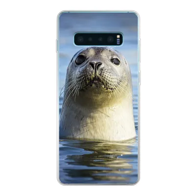 Produktbild von MuchoWow® Handyhülle Schutzhülle Hülle für Samsung Galaxy S10 Lite Siegel - Porträt - Wasser Silikon Softcase Handy Hülle - Schutz