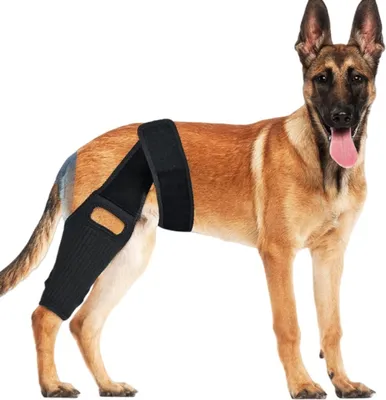 Immagine prodotto di INF Tutore per ginocchio per cani XL per il recupero e il supporto del LCA