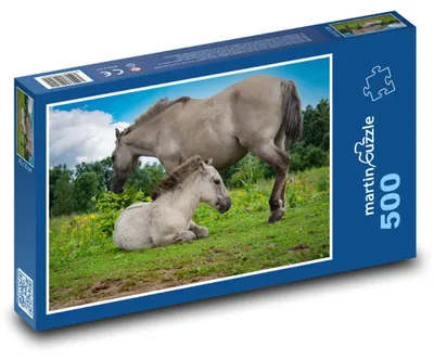 Produktbild von martinpuzzle - Puzzle 500 Teile - Pferd - Stute, Fohlen