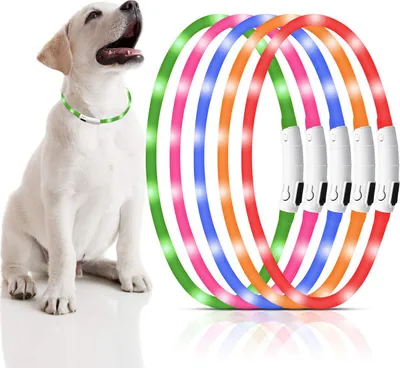 Produktbild von Led Halsband, USB aufladbar, Verstellbar Halsband, Hunde & Katzen, Nachtleuchte, Silikon, zuschneidbar, Halsumfang 50 cm