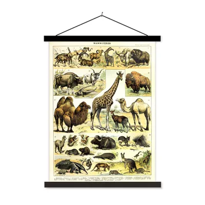 Produktbild von MuchoWow® Textilposter Tiere - Giraffe - Kamel 90x120 cm mit schwarzem Rahmen - Dekoration