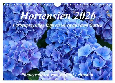 Produktbild von Hortensien 2026. Farbenprächtige Impressionen aus dem Garten (Wandkalender 2026 DIN A4 quer), CALVENDO Monatskalender