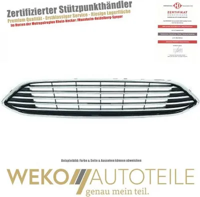 Produktbild von Kühlergitter oben DIEDERICHS 1419041 für FORD
