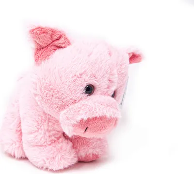 Image de Cornelissen - Doudou - Cochon - 19 cm