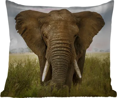 Produktbild von MuchoWow® Outdoor Kissen - Elefant - Natur - Gras - Tiere - Landschaft - 50x50 cm - Wetterfest - Lounge Kissen - Komfortabel - Kissen mit Bild