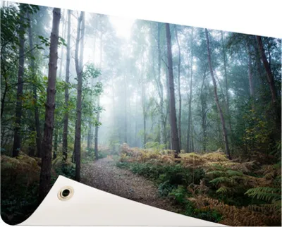Produktbild von Gartenposter - 60x40 cm - Ein nebliger Pfad durch den Wald  - Modernes Wandbilder - Natur
