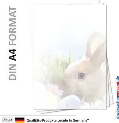 Produktbild von Motiv Briefpapier (Ostern-5096, DIN A4, 25 Blatt) Briefpapier mit Osterhase Ostereiern Ostergras und Osterblumen
