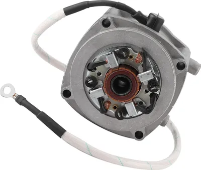 Productafbeelding van Startmotor voor motorfietsen, geschikt voor 2-takt motoren van 43cc, 47cc en 49cc, voor minicycles, scooters, grasmaaiers, quads en andere voertuigen