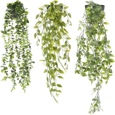 Produktbild von Hängende Topfpflanzen 3-teilig, Mandragora 80 cm, Erbse 65 cm, Eukalyptus 56 cm, für Wohnraum