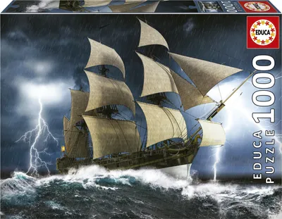 Image de Educa Borras Puzzle tempête parfaite 1000 pièces Multicolore One Size