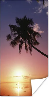 Produktbild von MuchoWow® Poster Silhouette von Palmen bei Sonnenuntergang 20x40 cm - Plakat - Foto