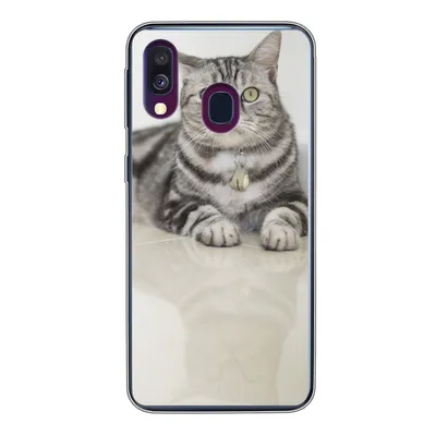 Produktbild von MuchoWow® Handyhülle Schutzhülle Hülle für Samsung Galaxy A40 Katze - Grau - Tier - Mädchen - Kinder - Jungen - Kind Silikon Softcase Handy Hülle - Handy-Tasche