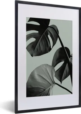 Produktbild von MuchoWow® Gerahmtes Poster Monstera - Blätter - Grün - Stilleben 40x60 cm - Poster mit Schwarzem Bilderrahmen Wandposter Rahmen Foto Bilder - Poster in Rahmen