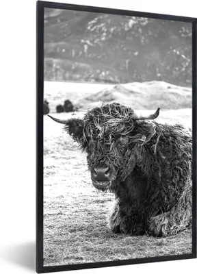 Produktbild von MuchoWow® Gerahmtes Poster Schottischer Highlander - Berg - Tiere 20x30 cm - Poster mit Schwarzem Bilderrahmen Wandposter Rahmen Foto Bilder - Drucken - Bilder Poster im Rahmen