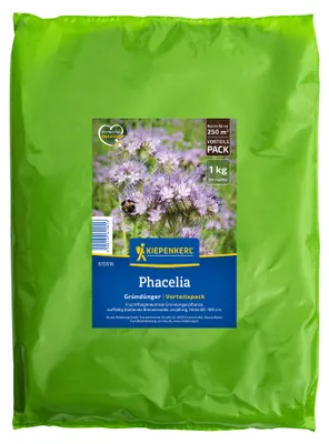 Produktbild von Kiepenkerl Gründünger Saatgut Phacelia 1 kg für 250 m²