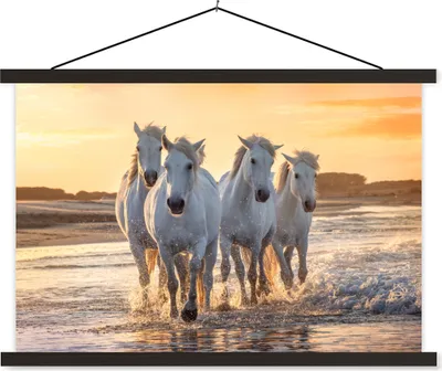 Produktbild von MuchoWow® Textilposter Pferde - Wasser - Strand - Tiere 150x100 cm mit schwarzem Rahmen - Schlafzimmer