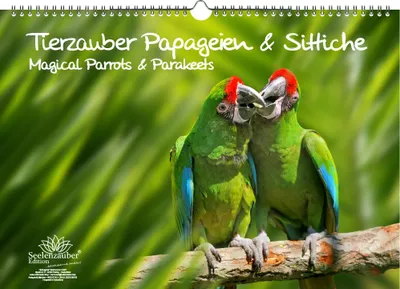 Produktbild von Papageienzauber Papageien und Sittiche Immerwährender Kalender DIN A3 - Seelenzauber