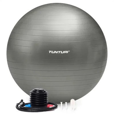 Immagine prodotto di Tunturi Anti Burst Fitness Ball con Pompa - Palla Yoga 65 cm - Palla Pilates - Palla gravidanza – Peso massimo utente 220 kg - Incluso App Allenamento – Argento