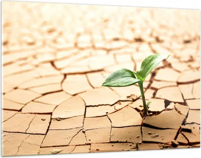 Produktbild von Bilder auf glas - Wüste Erde Umwelt - 120x80cm - Glasbilder - Wandbilder - Kunstdruck - zum Aufhängen bereit - Wanddekoration aus Glas - Glas Bilder - Wandbild auf Glas - Einteilig - GAA120x80-2173