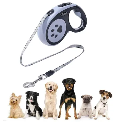 Immagine prodotto di Guinzaglio retrattile per cani, lunghezza 5 metri, con maniglia