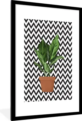Produktbild von MuchoWow® MuchoWow® Gerahmtes Poster Pflanzen - Pflanzgefäß - Zimmerpflanze 60x90 cm - Poster mit zchwarzem Bilderrahmen - Dekoration - Wandposter Wohnzimmer - Hochwertig