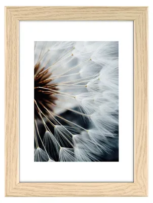 Image de Hama cadre plastique "Breeze", chêne, 20 x 30 cm