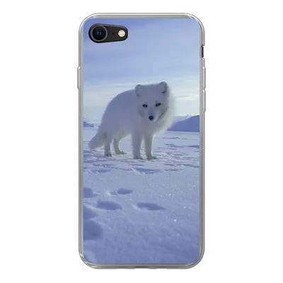 Produktbild von MuchoWow® Handyhülle Schutzhülle Hülle für iPhone 7 Fuchs - Schnee - Berge Silikon Softcase Handy Hülle - Kartenhalter