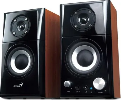 Zdjęcie produktu dla Genius Computer Technology 31730032400 głośnik 2-drożny czarny, drewniany 14 W