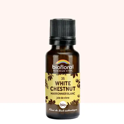 Image de Biofloral - 35 White Chestnut, Marronnier Blanc -- 19,5 gr