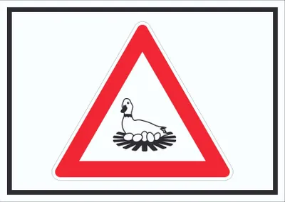 Produktbild von Achtung Brutzeit Schild Symbol A3 (297x420mm)