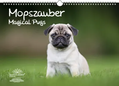 Produktbild von Mopszauber DIN A3 Immerwährender Kalender Mops Hunde und Welpen - Seelenzauber