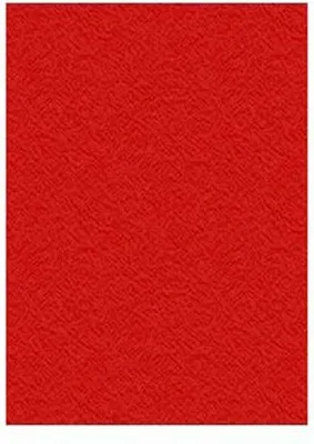 Image de Displast Binding Covers Red A4 Cardboard 50 Pcs